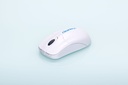2-20993-01-Cleankeys-wireless-mouse-3.jpg