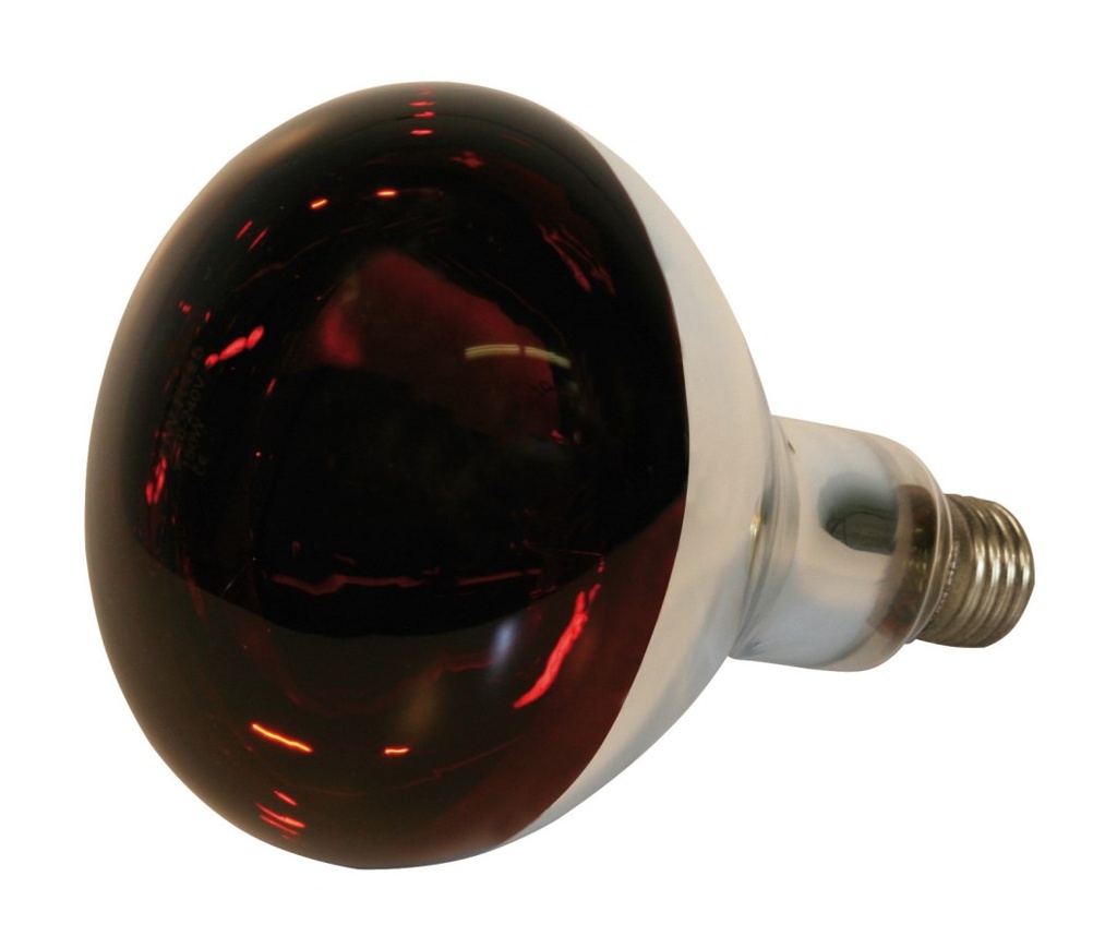 1-23465-02-250W-rot-Hartglas-Infrarotlampe.jpg