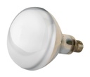 1-23465-04-250W-klar-Hartglas-Infrarotlampe.jpg