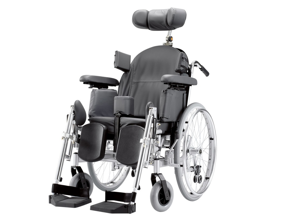BISCHOFF & BISCHOFF Triton Multifunctional wheelchair