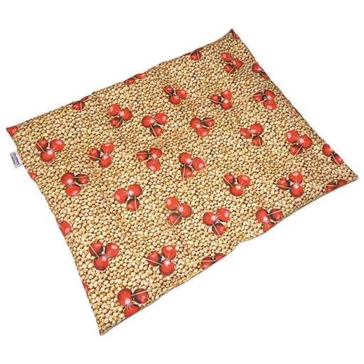 SERVOPRAX Cherry stone pillow