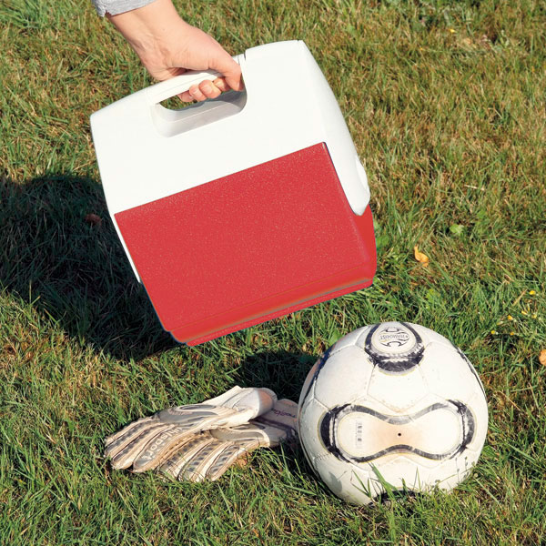 SERVOPRAX Servosport Cool Box leer