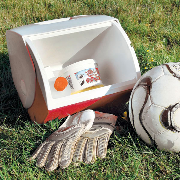 SERVOPRAX Servosport Cool Box filled