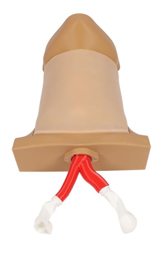 [25541-01] ERLERZIMMER Crico Chris Cricothyrotomy Task Trainer