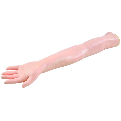 [14766-01] HEINESCIENTIFIC Simulation model for learning blood withdrawal and injection techniques
