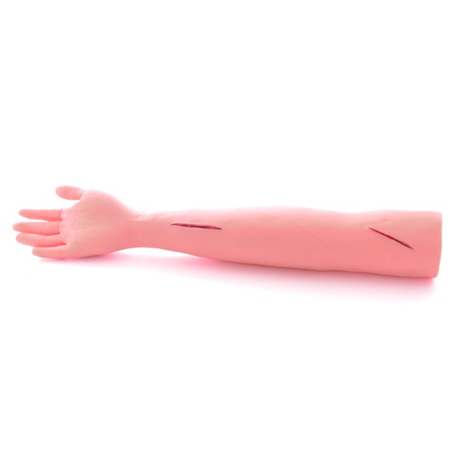 [14780-01] HEINESCIENTIFIC Skin suture trainer as arm model