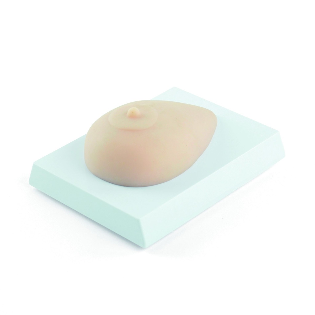 HEINESCIENTIFIC Simulation model for training breast examination