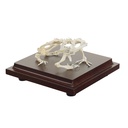 HEINESCIENTIFIC Real frog skeleton