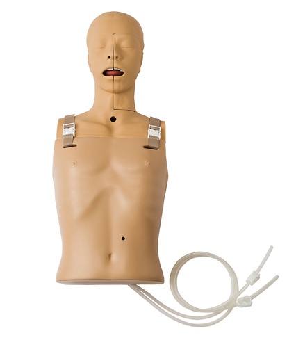 [22443-01] ERLERZIMMER Simulator Suction Technique - Nasal/Gastric Tube