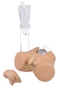 ERLERZIMMER Catheterization Model with Male and Female Genital Insert