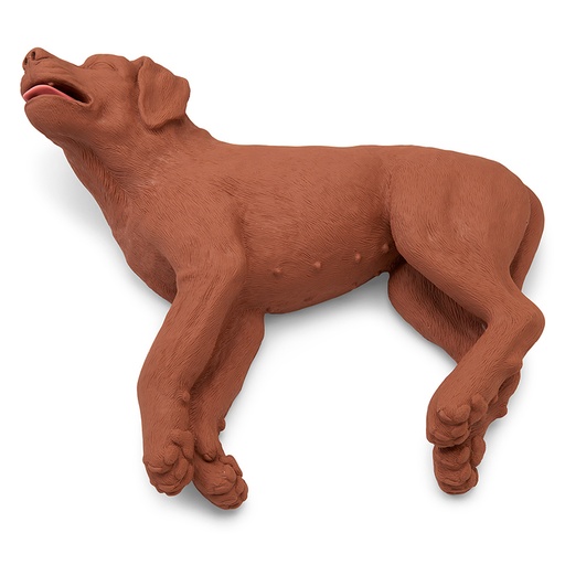 [22635-01] ERLERZIMMER HLW Übungshund CasPeR