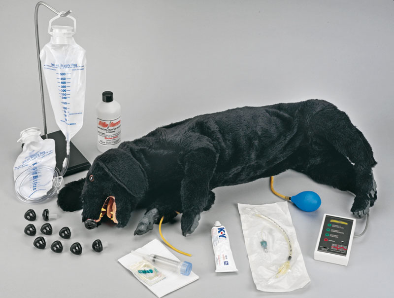 ERLERZIMMER CPR Dog, extended version