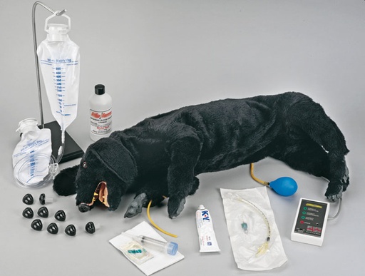 [22638-01] ERLERZIMMER CPR Dog, extended version