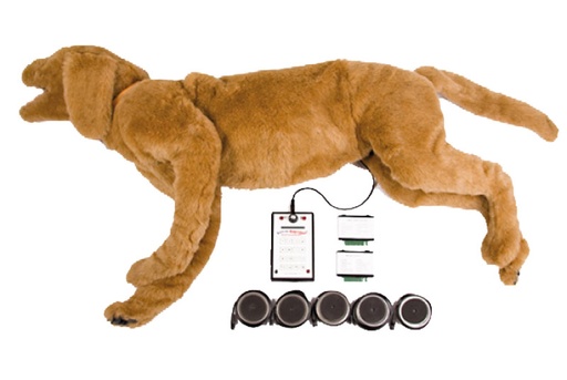 [22641-01] ERLERZIMMER K9 Respiratory and Heart Sound Simulator (AHS) Goldie