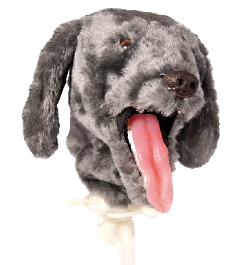 ERLERZIMMER K-9 Intubation Trainer