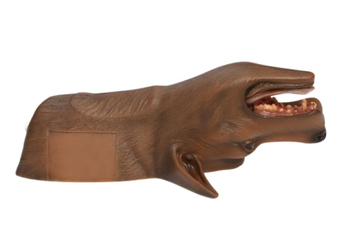 [22652-01] ERLERZIMMER Louie K9 Tracheotomy Model