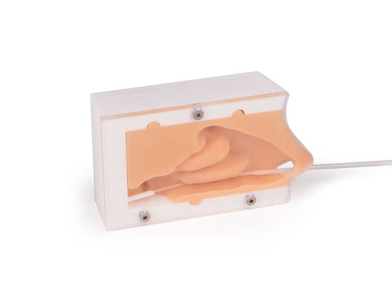 ERLERZIMMER Covid Test Trainer, Nasaler Abstrichtrainer Basic