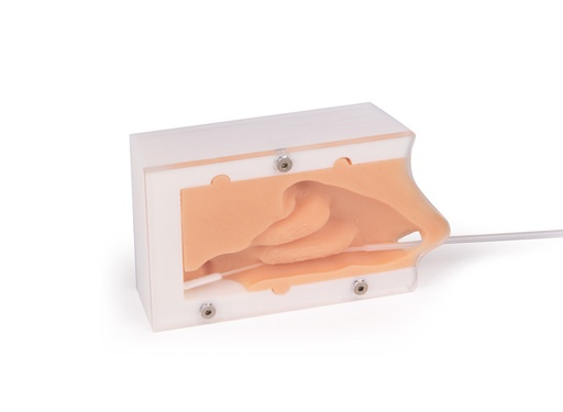 [23421-01] ERLERZIMMER Covid Test Trainer, Nasaler Abstrichtrainer Basic