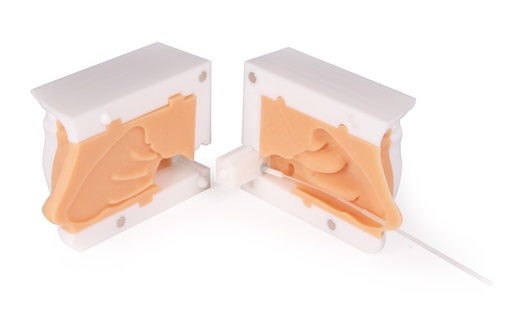 [23422-01] ERLERZIMMER Covid Test Trainer, Nasal Swab Trainer extended