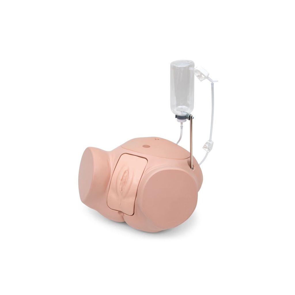 3B SCIENTIFIC Catheterization simulator PRO, female