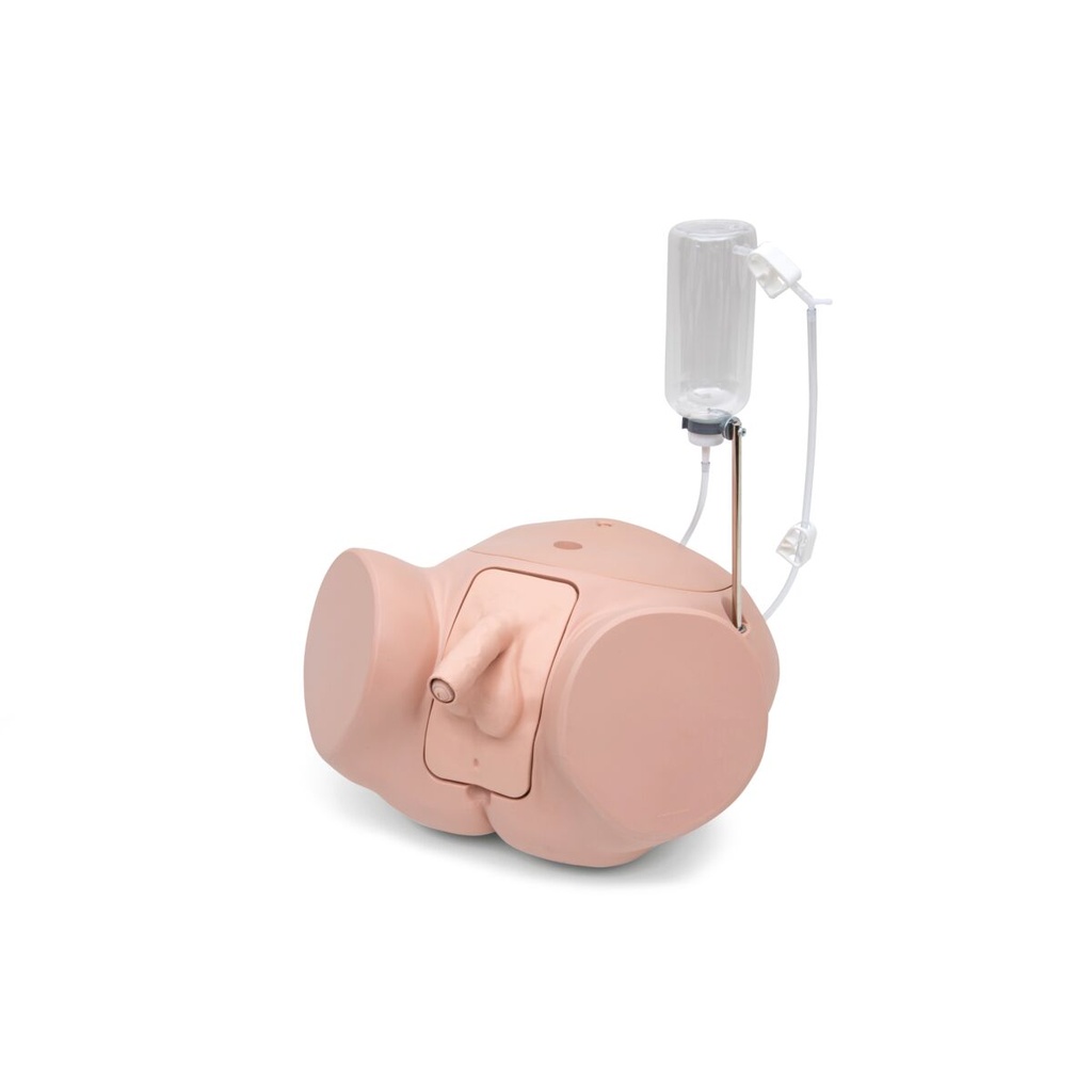 3B SCIENTIFIC Katheterisierungssimulator PRO, männlich