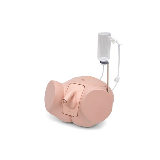 [23461-01] 3B SCIENTIFIC Katheterisierungssimulator PRO, männlich