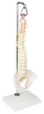 ERLERZIMMER Miniature Spine on Hanging Stand