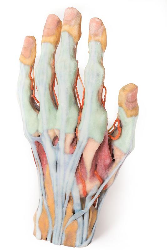 ERLERZIMMER Hand