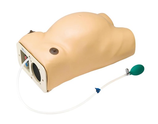[24602-01] ERLERZIMMER Pregnancy Examination Model with Heart Sound Simulation