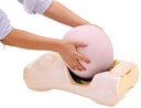 ERLERZIMMER Pregnancy Examination Simulator