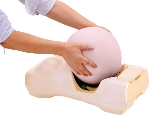 [24603-01] ERLERZIMMER Schwangerschafts-Untersuchungs-Simulator