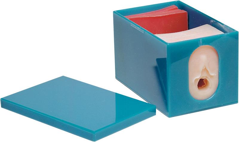 ERLERZIMMER Birth Progress & Fetal Monitoring Model Set