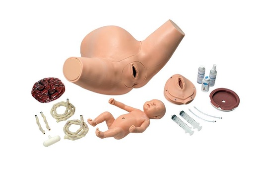 [24606-01] ERLERZIMMER Super OB Susie