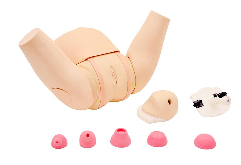 ERLERZIMMER Muttermund - Untersuchungs - Simulator