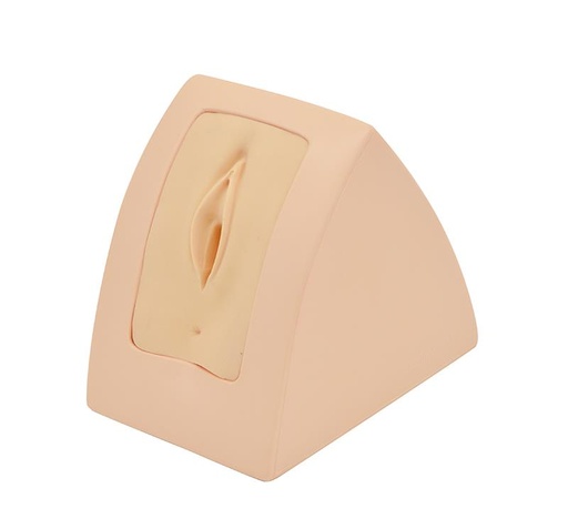 [24608-01] ERLERZIMMER Perineal Repair - Simulator