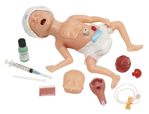 [24610-01] ERLERZIMMER Micro-Premie Premature Infant Simulator