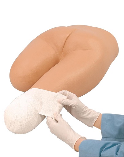 [24629-01] ERLERZIMMER Stump Bandaging Trainer Lower Body