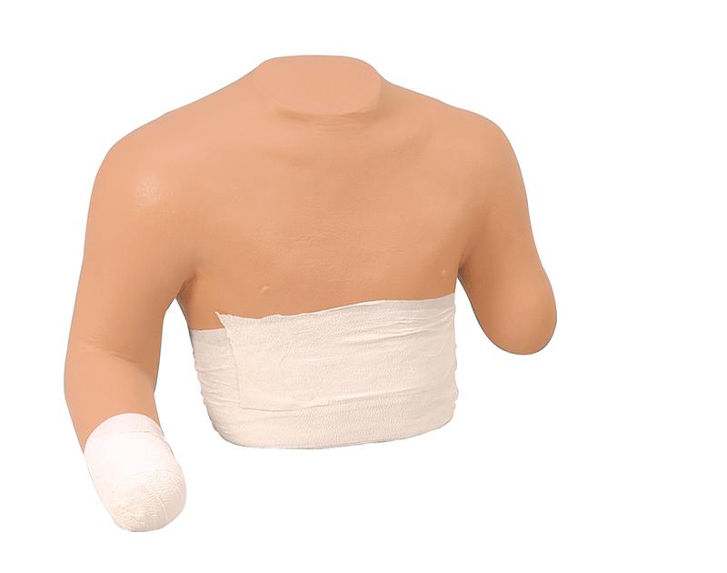ERLERZIMMER Stump Bandaging Trainer Upper Body