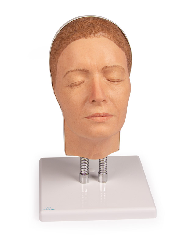 ERLERZIMMER Head for Facial Injections, Version A