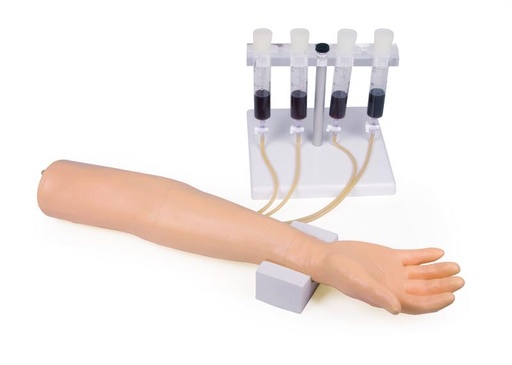 [24649-01] ERLERZIMMER Training Arm for Intravenous Injection and Infusion