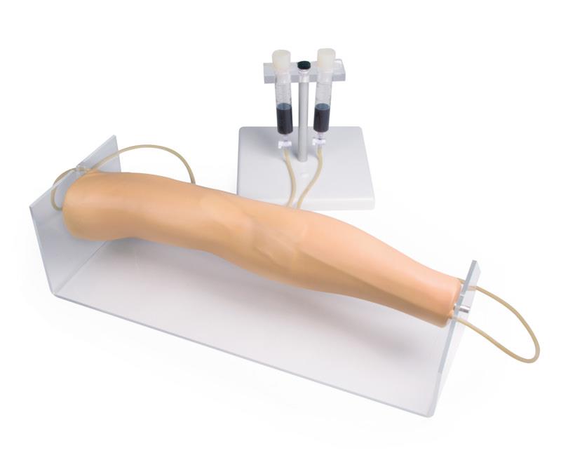 ERLERZIMMER Training Arm for Intravenous Injection