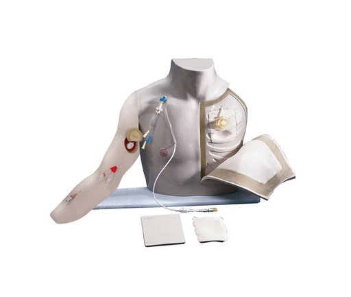 [24655-01] ERLERZIMMER Chester Chest with extended arm