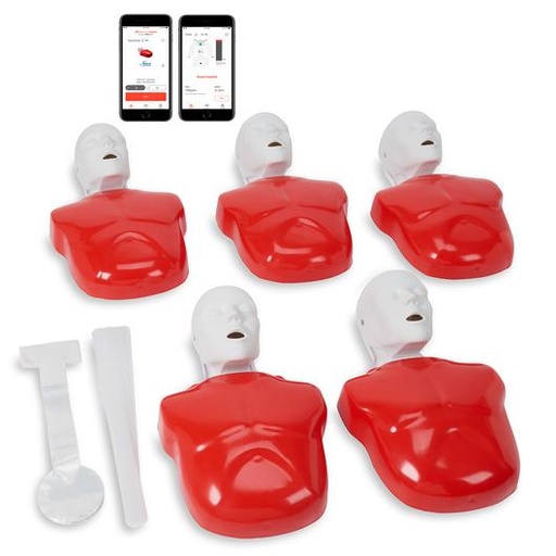 [24664-01] ERLERZIMMER Basic Buddy Plus, Pack of 5