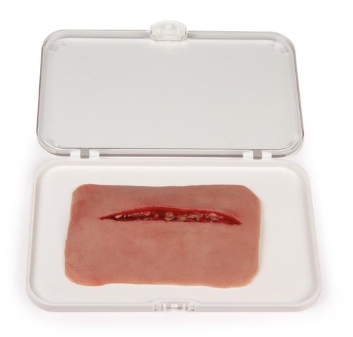[24689-01] ERLERZIMMER Wound Moulage Cut Wound