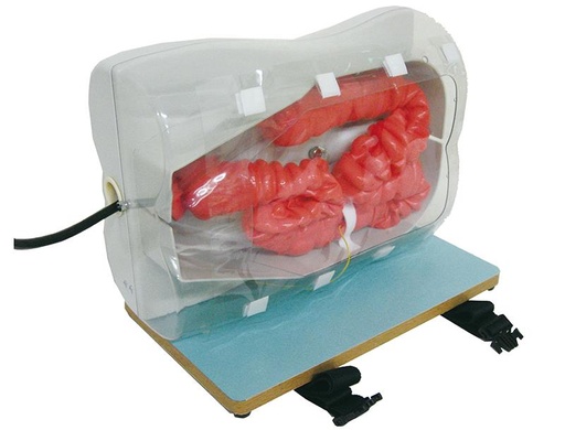 [24700-01] ERLERZIMMER Colonoscopy Simulator