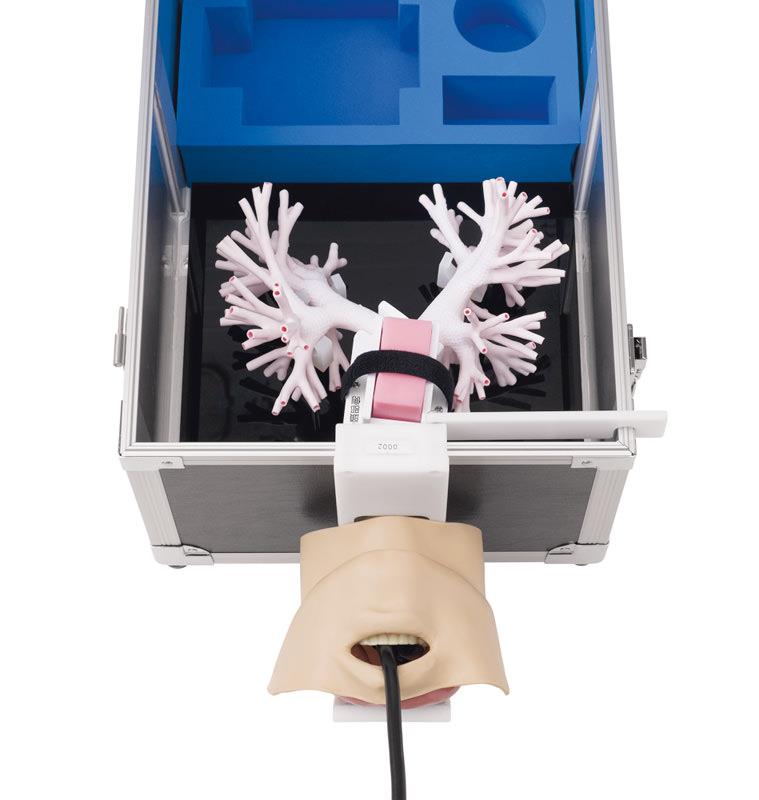 ERLERZIMMER Ultraschall-Bronchoskopie-Trainer