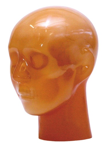 [24712-01] ERLERZIMMER Angiography Head Model