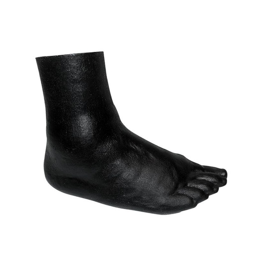 [24714-01] ERLERZIMMER Foot Phantom for CT, X-Ray and Radiotherapy