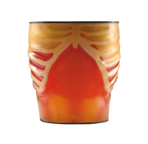 [24716-01] ERLERZIMMER Ultraschall-Übungsmodell Anatomie / Pathologie