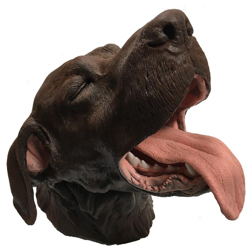 ERLERZIMMER Chirurgisches Zahnmodell Hund
